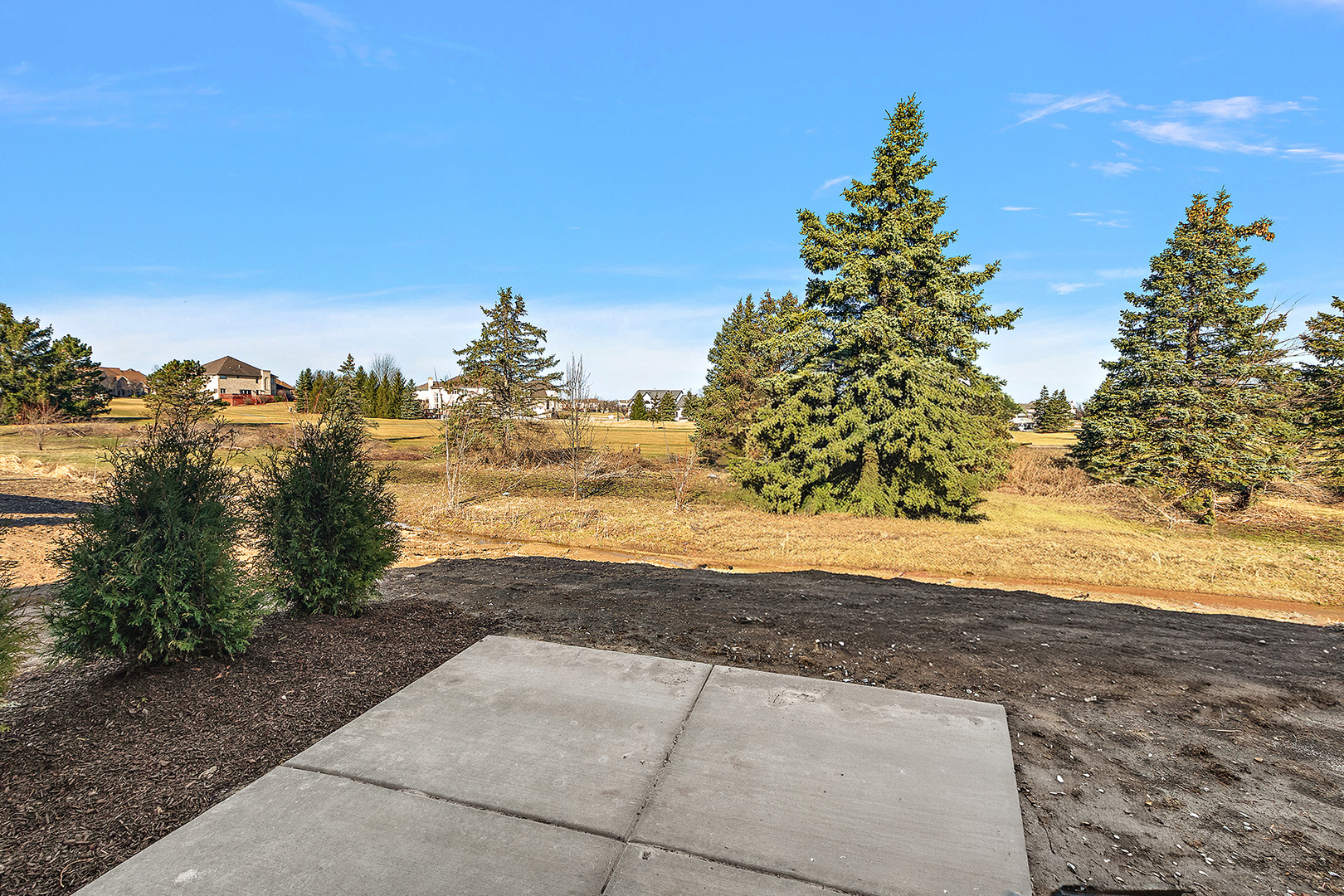 58 Olympus Drive, Tinley Park, IL 60477