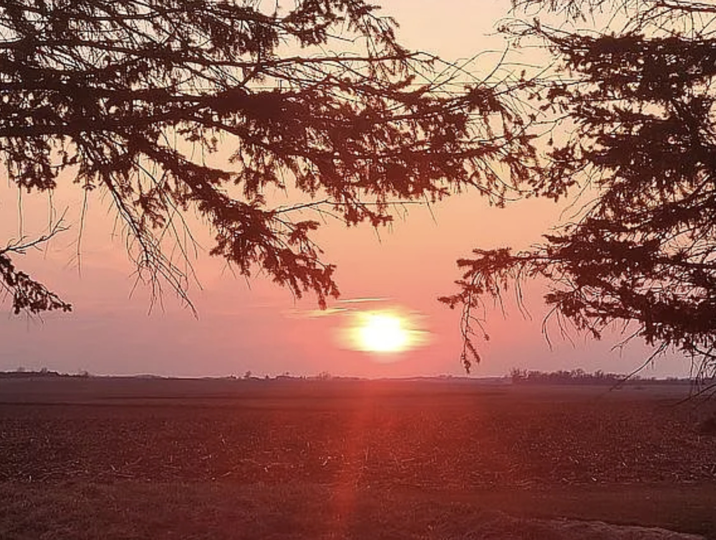 734 1st Street, West Brooklyn, IL 61378