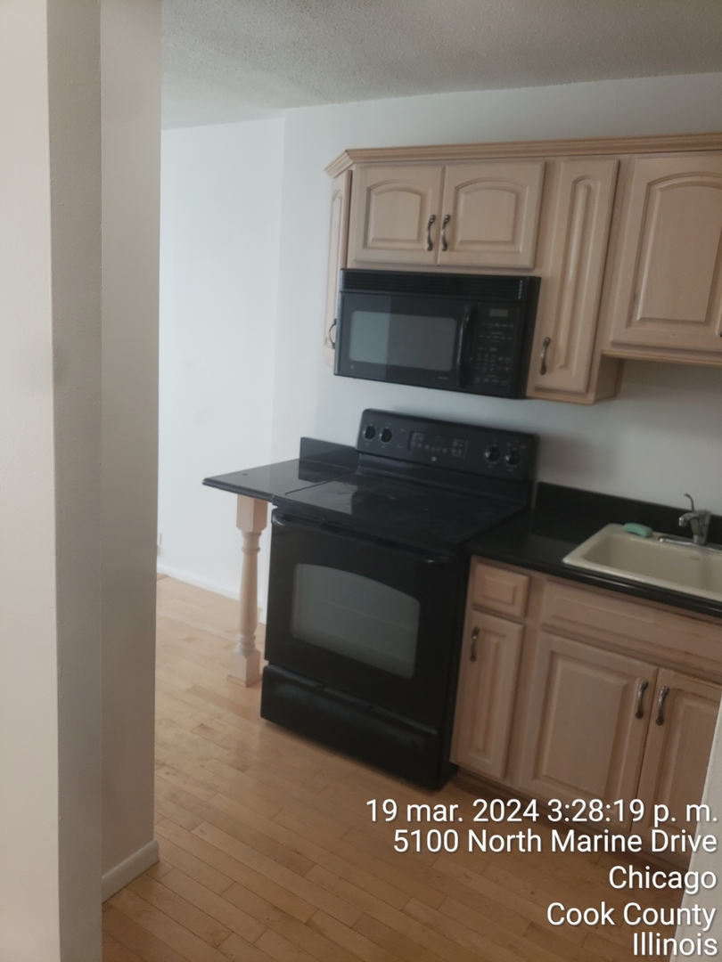 5100 N Marine Drive #10C, Chicago, IL 60640