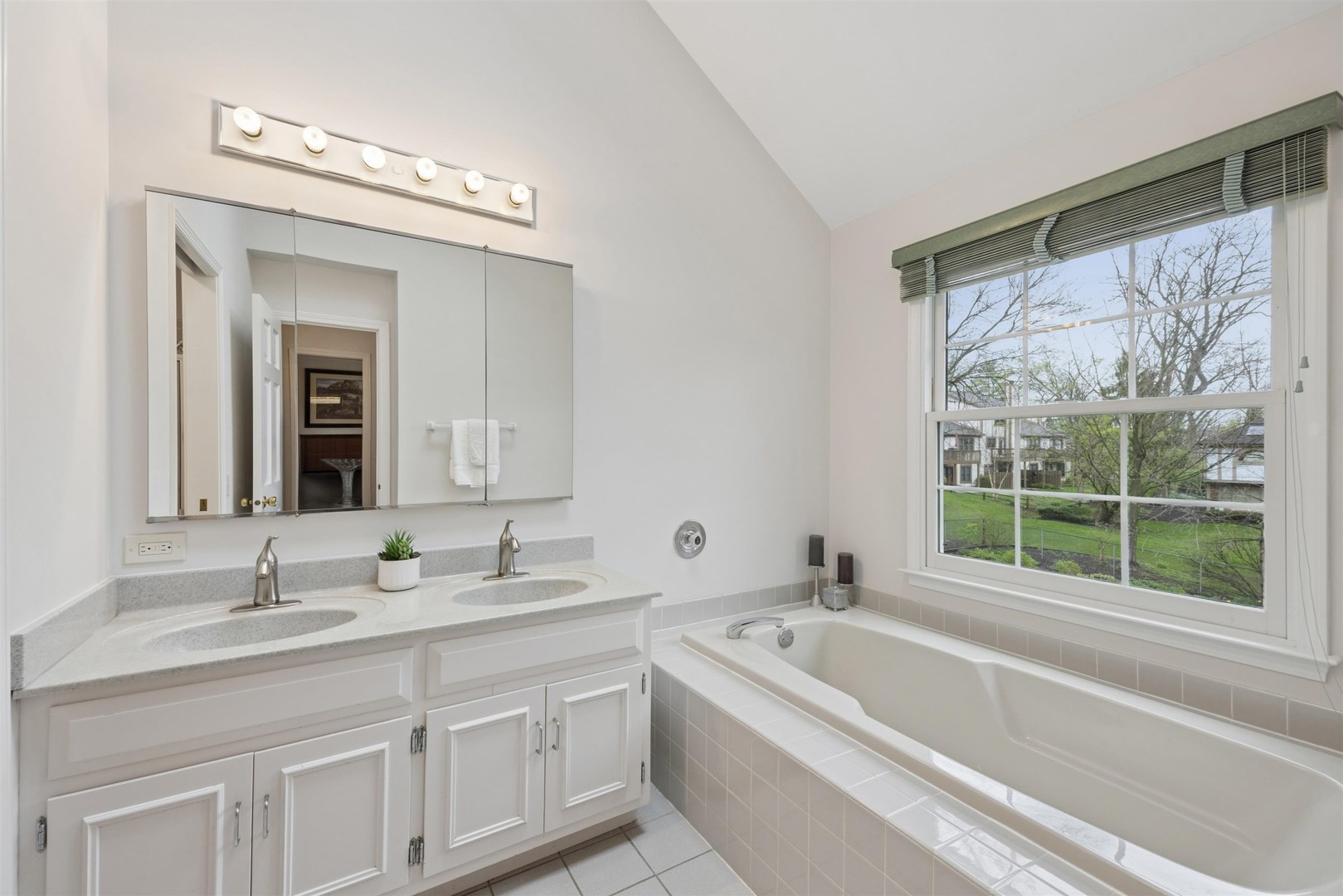 1361 Champion Forest Court, Wheaton, IL 60187