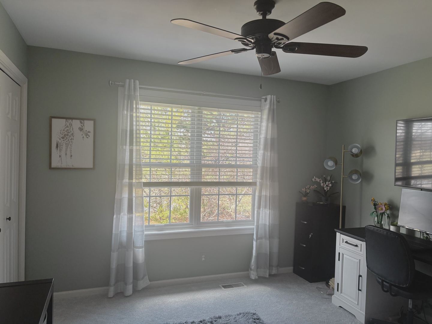 N552 W Weaver Circle, Geneva, IL 60134