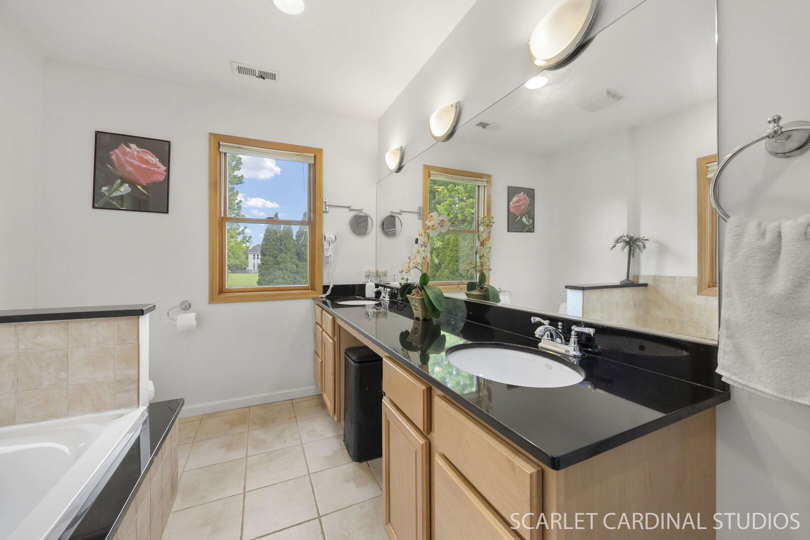 1004 Prairie View Court, Naperville, IL 60563