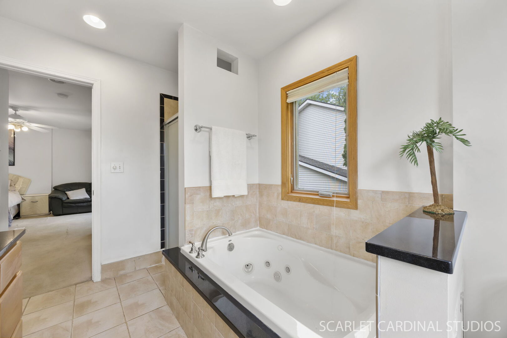 1004 Prairie View Court, Naperville, IL 60563