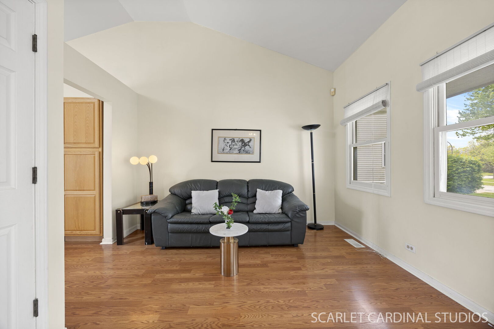1004 Prairie View Court, Naperville, IL 60563