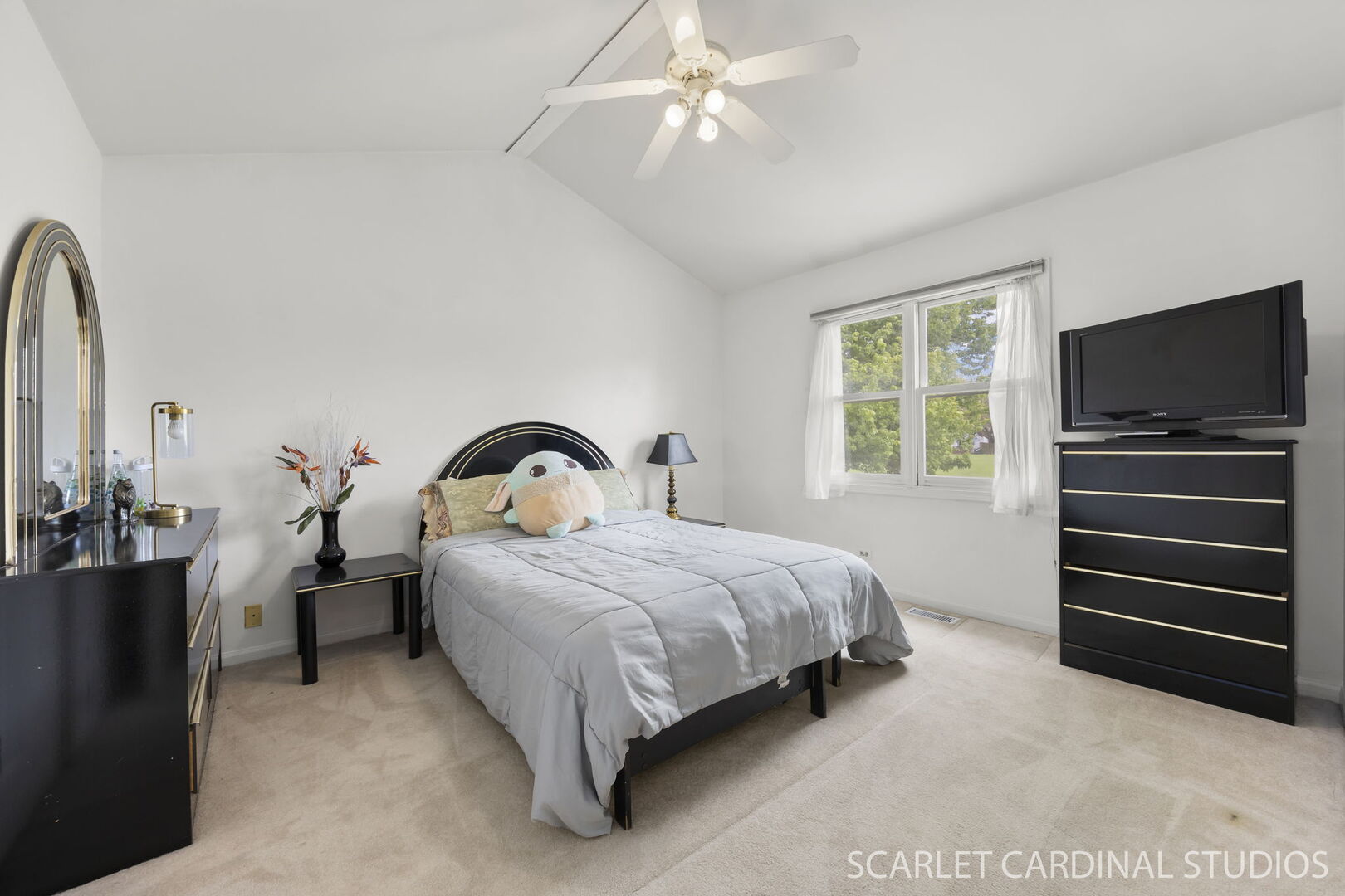 1004 Prairie View Court, Naperville, IL 60563