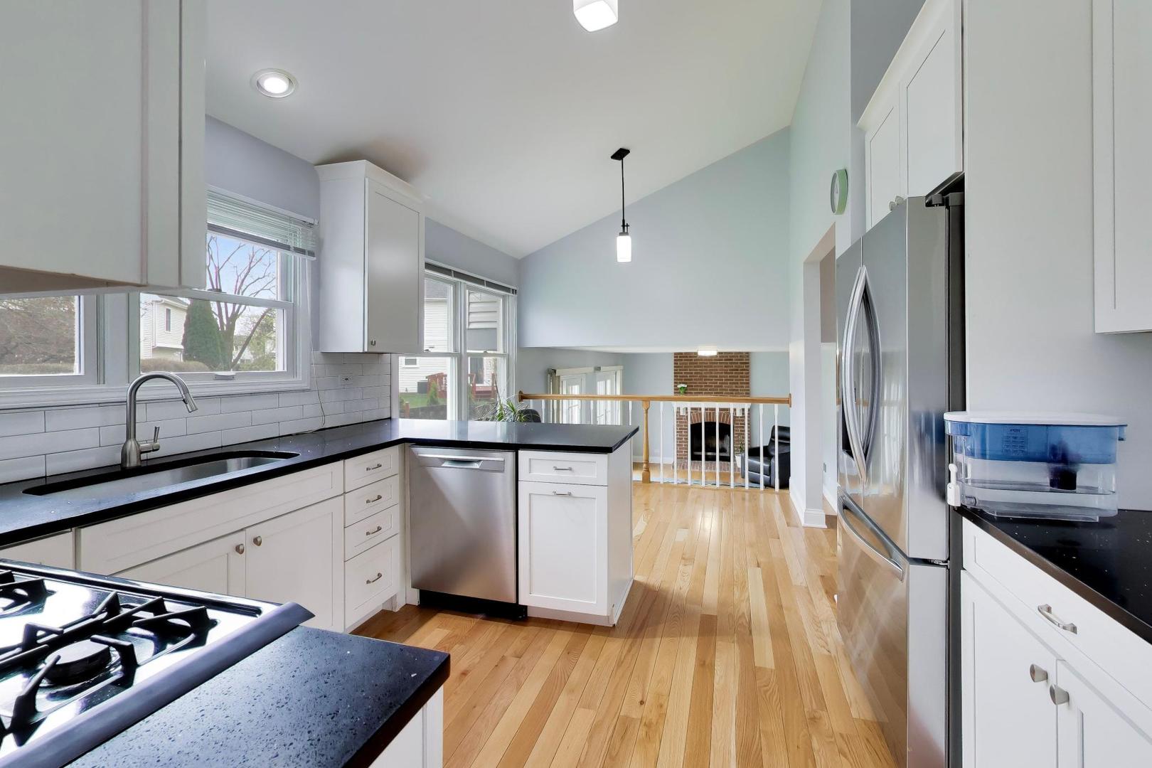 19 Dellmont Court, Buffalo Grove, IL 60089