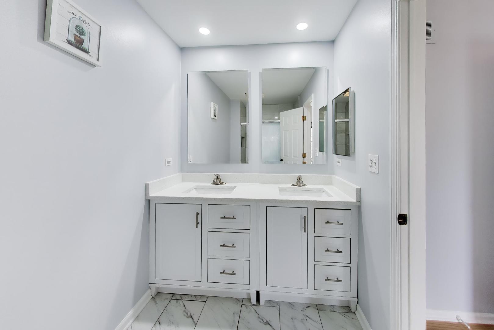 19 Dellmont Court, Buffalo Grove, IL 60089