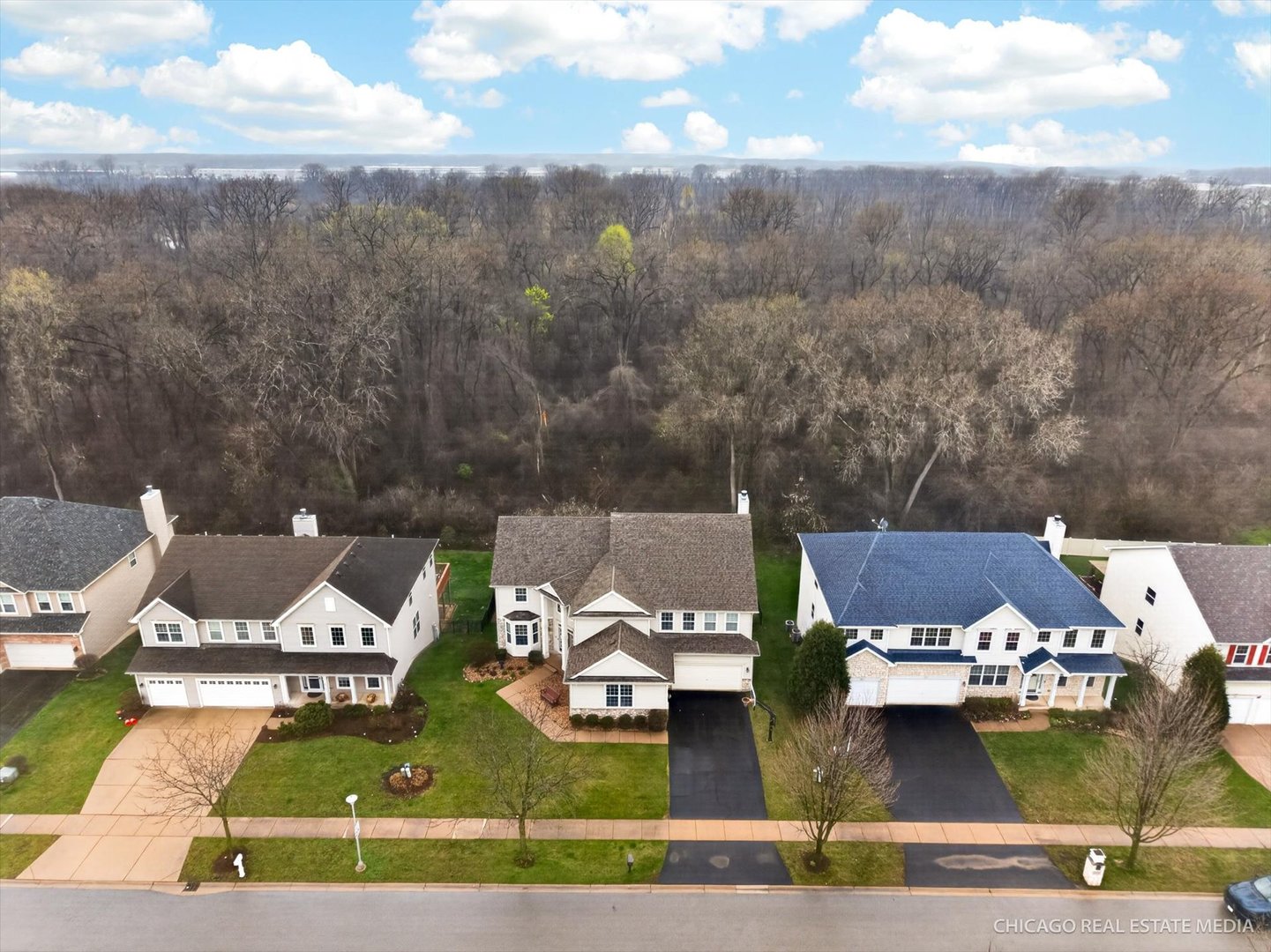 420 Blue Heron Circle, Bartlett, IL 60103