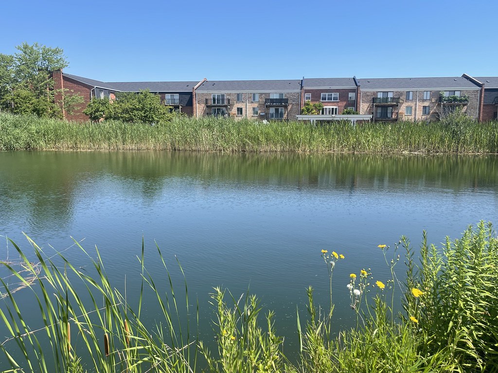 4400 W Lake Avenue #208B, Glenview, IL 60026