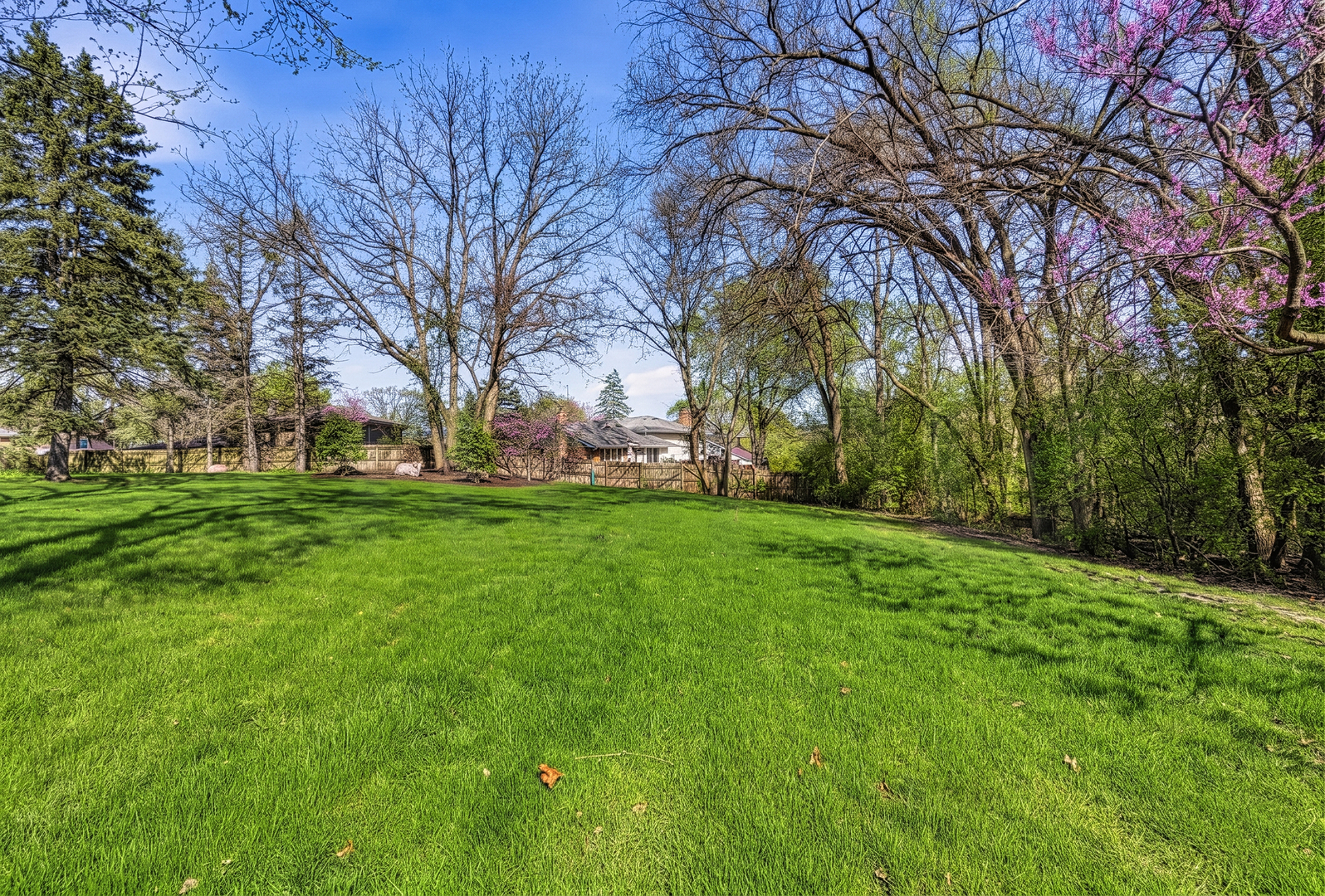 1231 S Ardmore Avenue, Villa Park, IL 60181