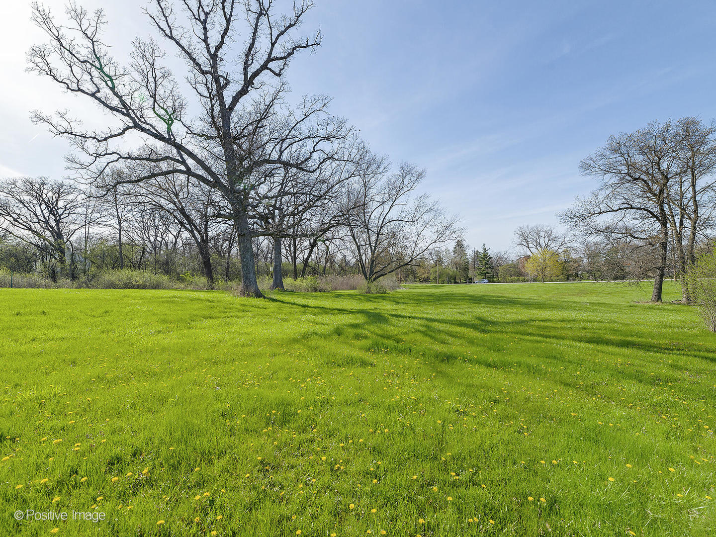 215 Oak Brook Road, Oak Brook, IL 60523