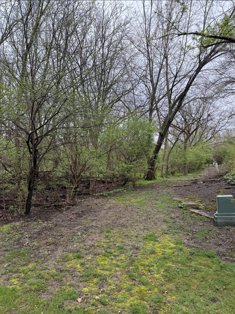 1203 Hobson Oaks Drive, Naperville, IL 60540