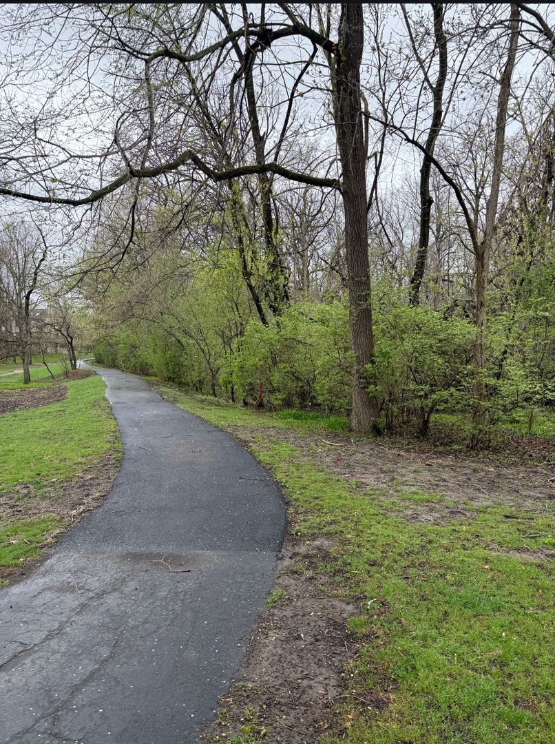 1203 Hobson Oaks Drive, Naperville, IL 60540