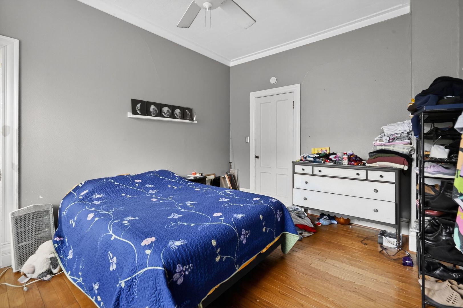 1003 N Lee Street, Bloomington, IL 61701