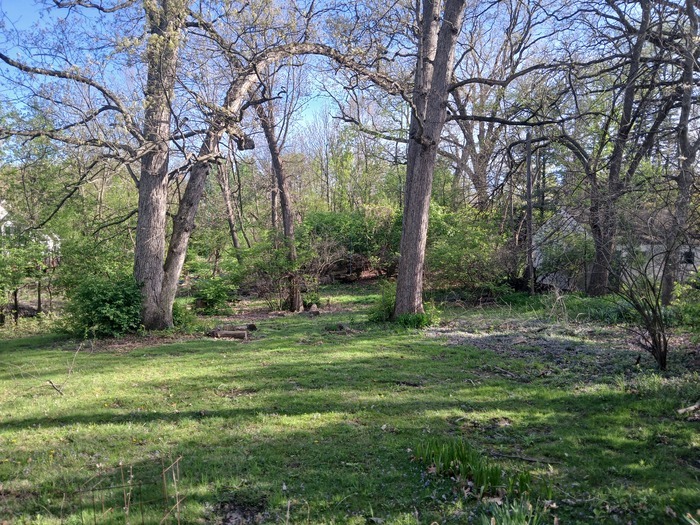 1805 Gilbert Avenue, Downers Grove, IL 60515
