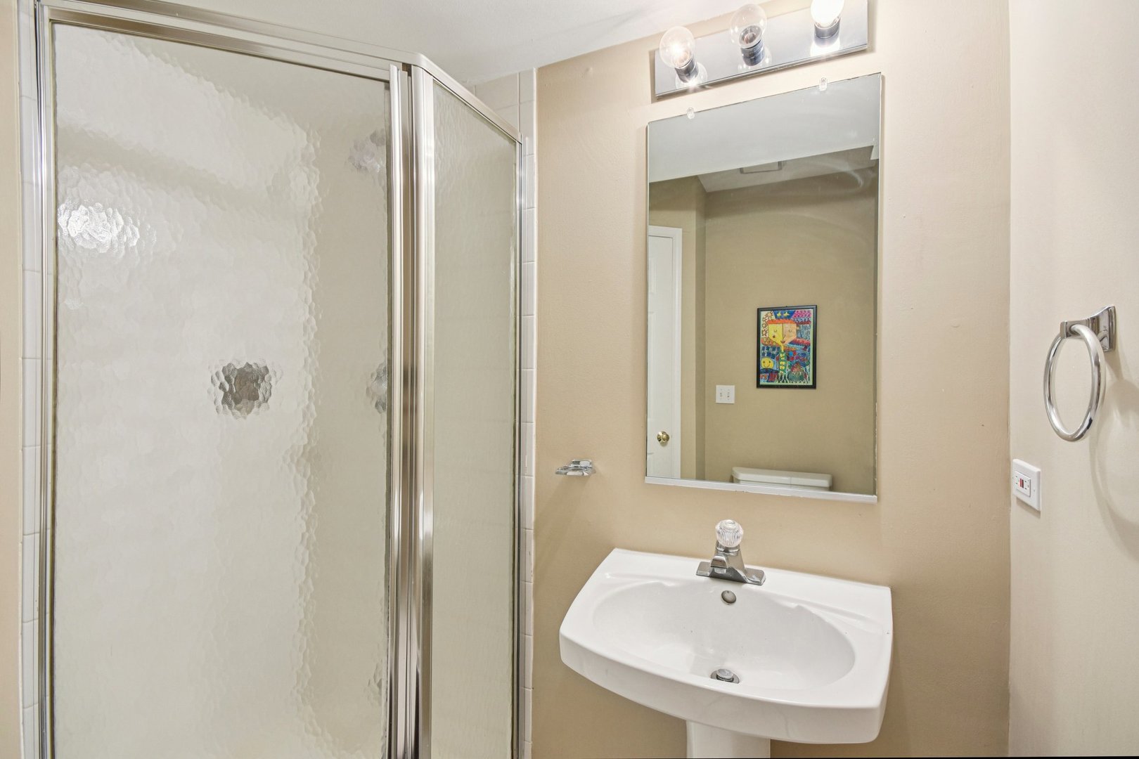 241 E Parallel Street #1A, Palatine, IL 60067