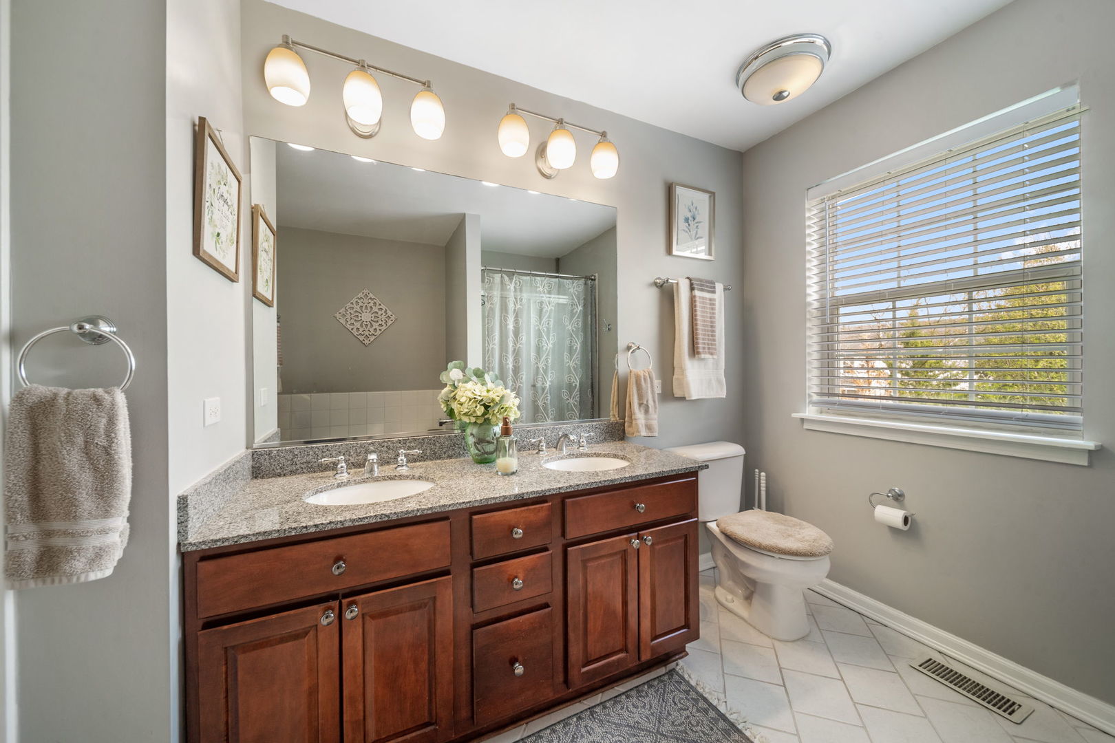 12963 Cathy Lane, Plainfield, IL 60585