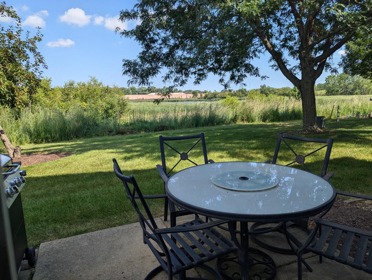 2502 Oak Tree Lane, Plainfield, IL 60586