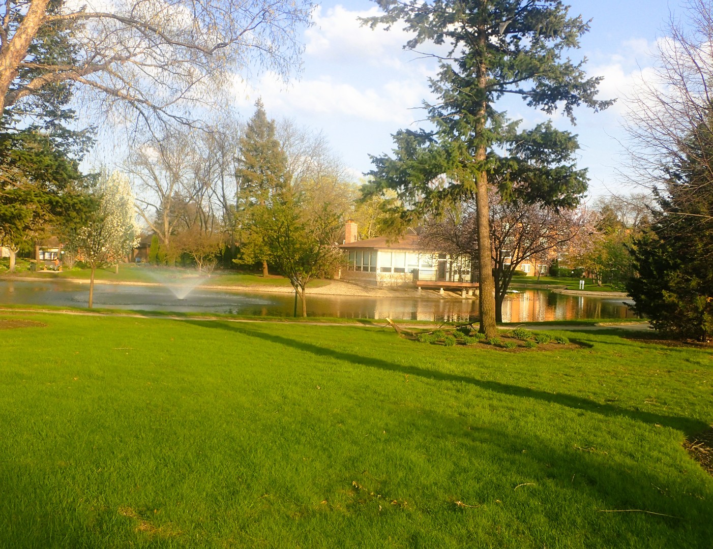 1127 S Old Wilke Road #101, Arlington Heights, IL 60005