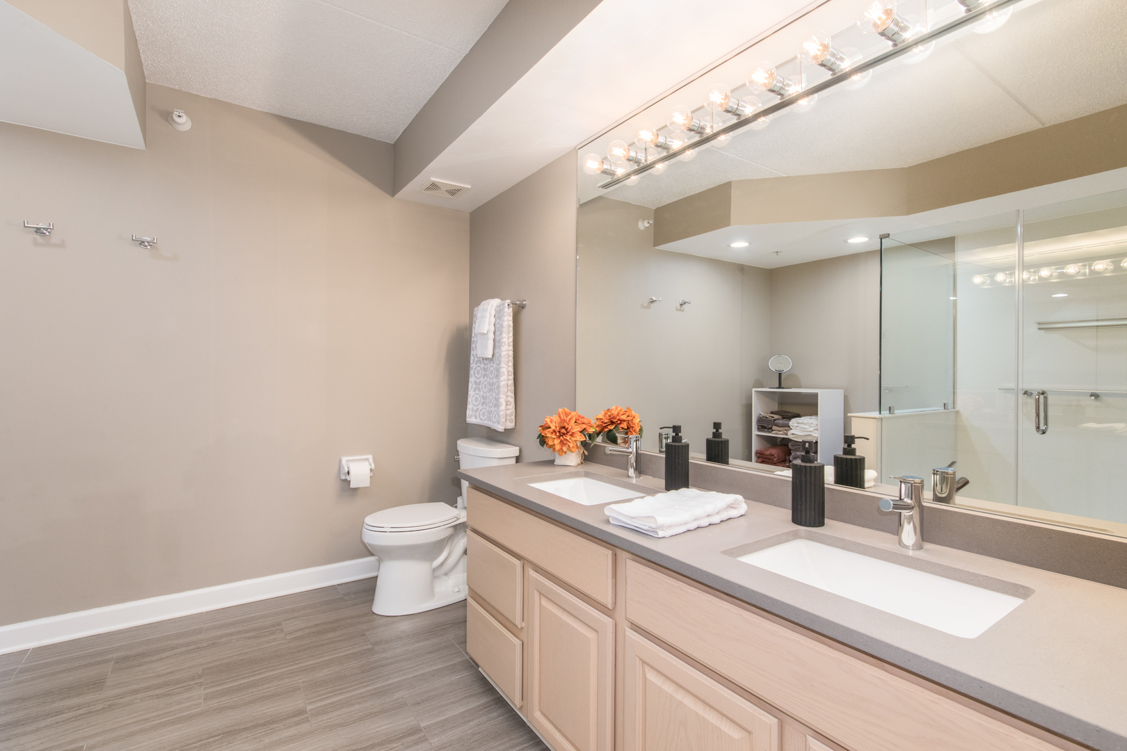 460 S Northwest Highway #307, Park Ridge, IL 60068