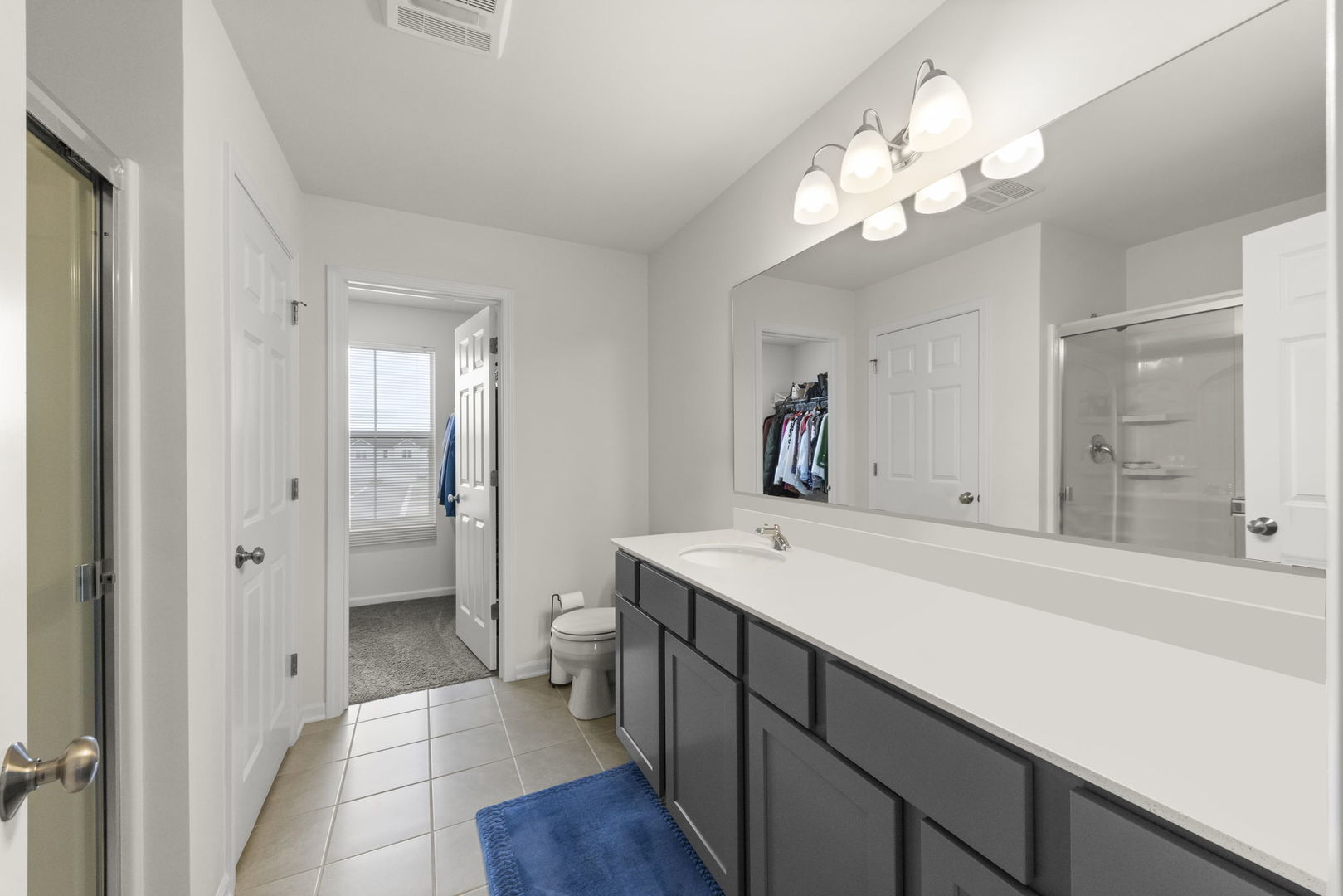 4202 Chelsea Manor Circle, Aurora, IL 60504