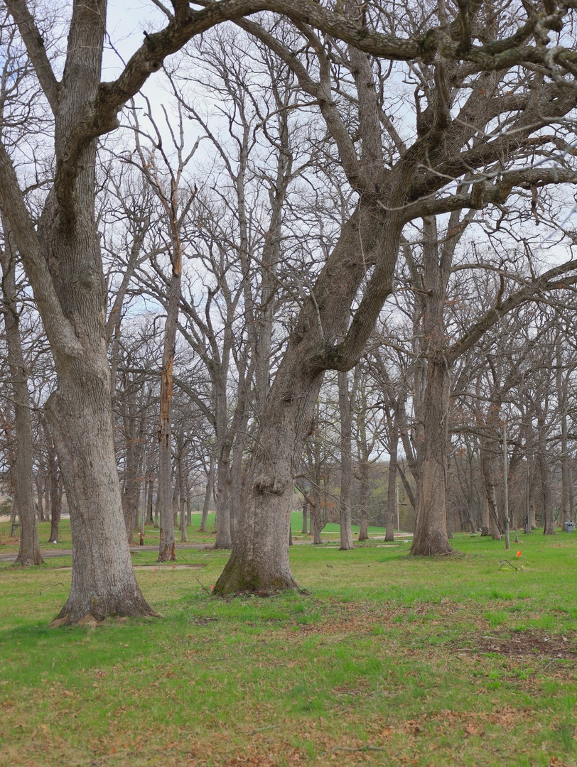 4500 E. River Road, Ridott, IL 61067