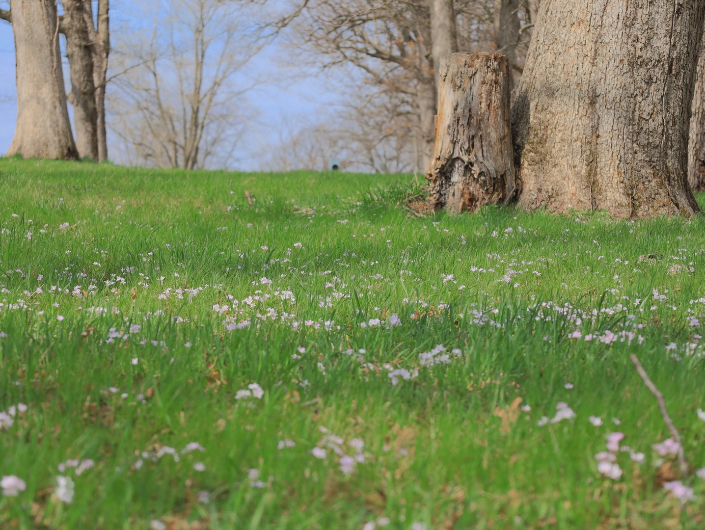 4500 E. River Road, Ridott, IL 61067