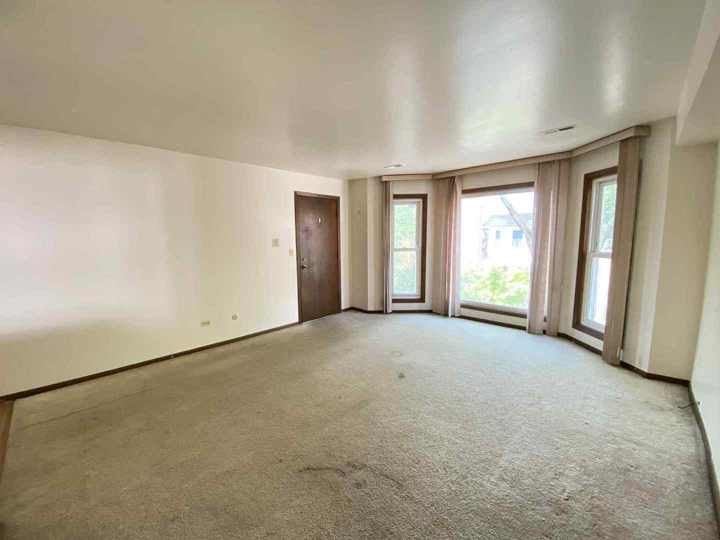 919 S Carpenter Street #3N, Chicago, IL 60607