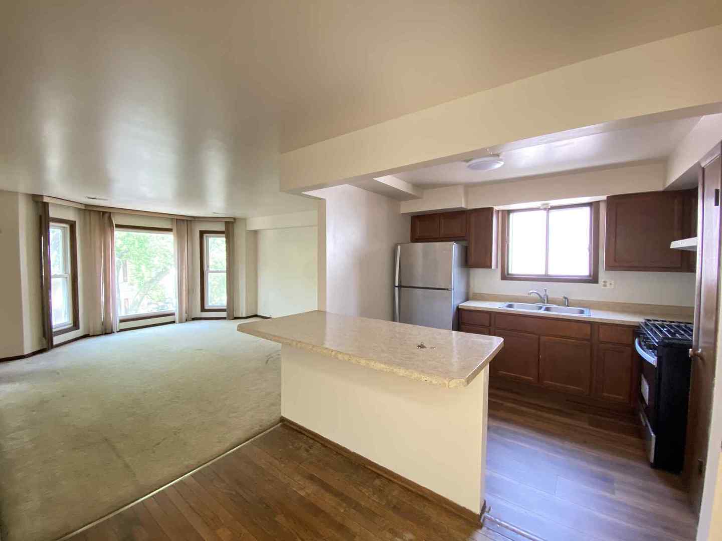 919 S Carpenter Street #3N, Chicago, IL 60607