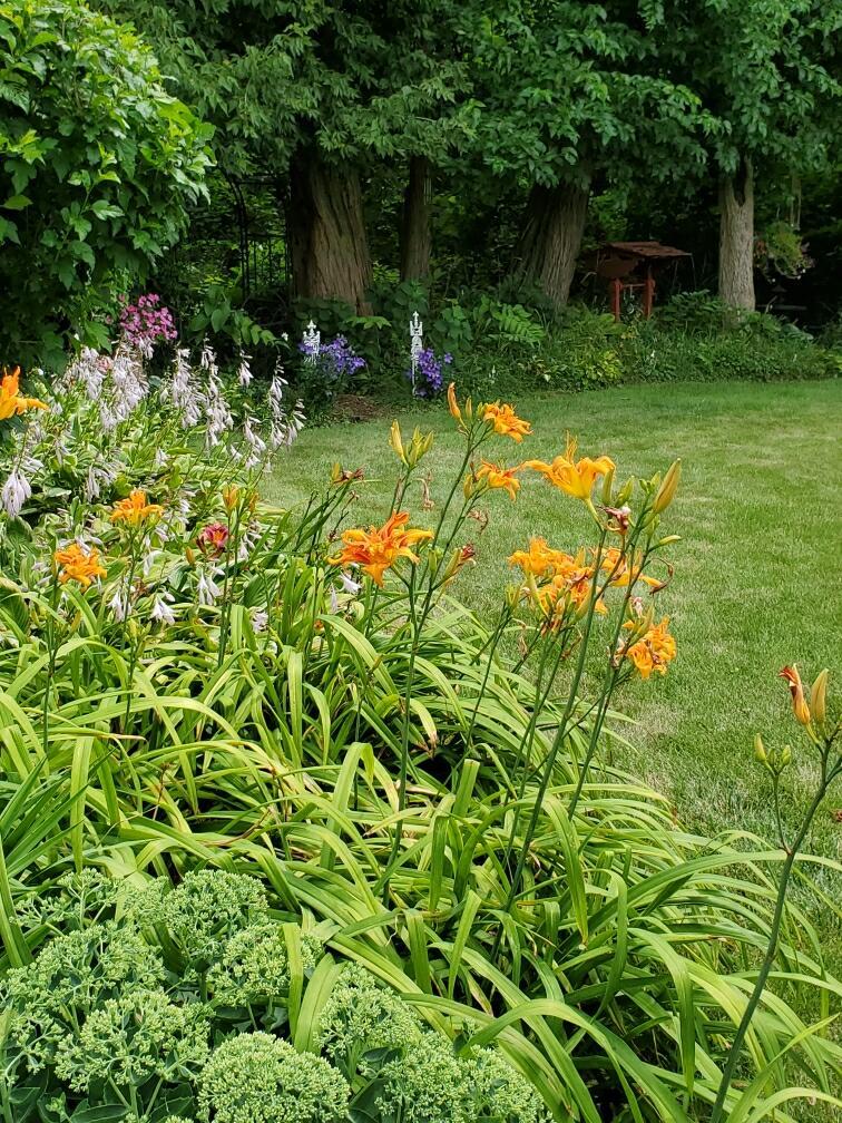 629 N Wren Avenue, Palatine, IL 60067