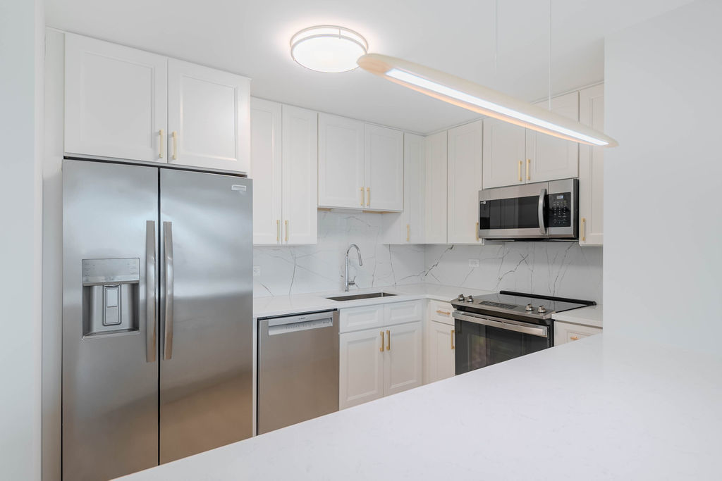 1255 N Sandburg Terrace #2606E, Chicago, IL 60610