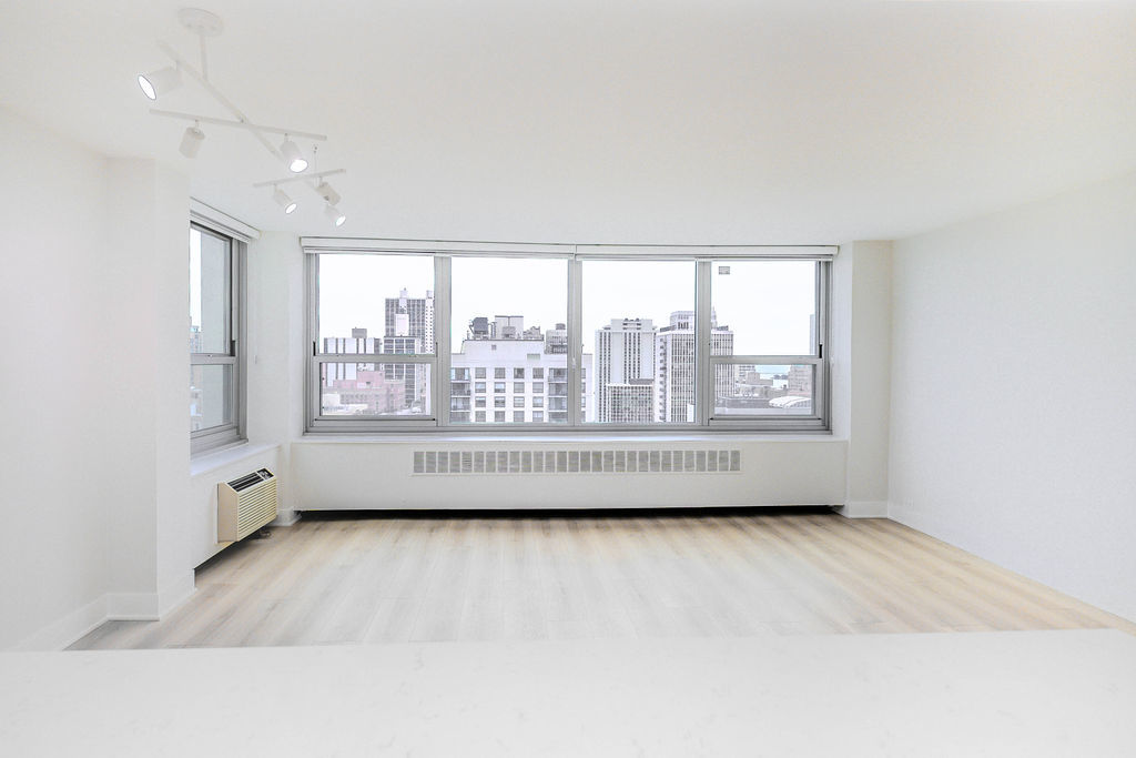 1255 N Sandburg Terrace #2606E, Chicago, IL 60610