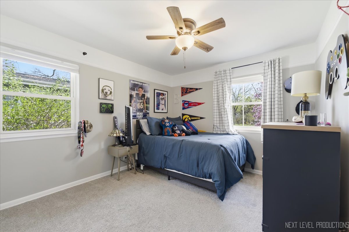 1209 Laurel Lane, Naperville, IL 60540