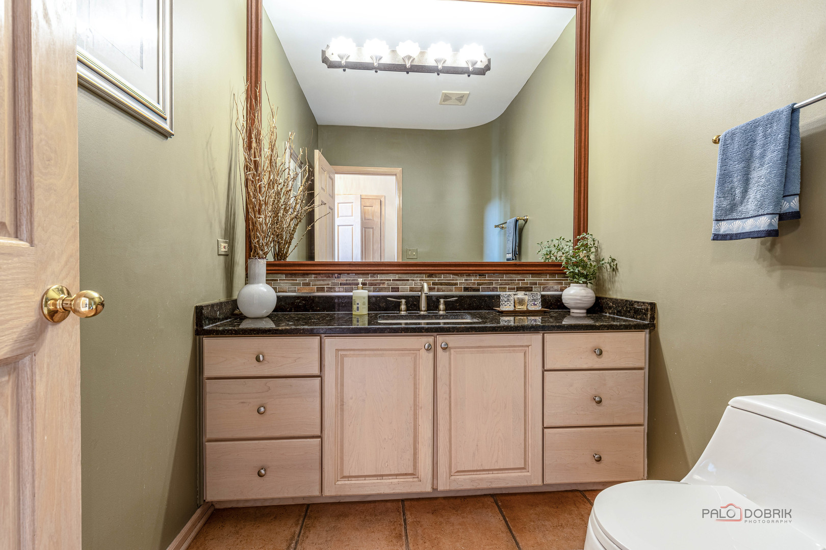 2755 Manu Court, Glenview, IL 60026