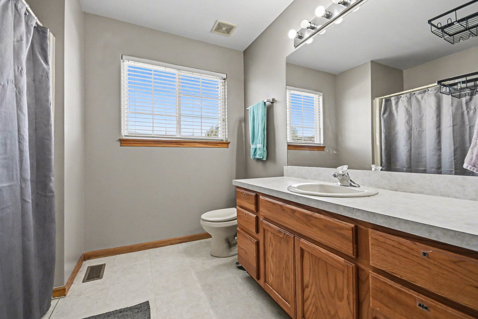 26119 S Bayberry Drive, Channahon, IL 60410