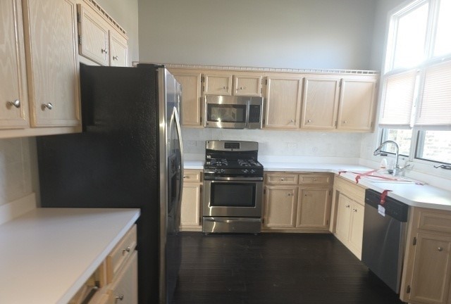 17259 Lakebrook Drive, Orland Park, IL 60467