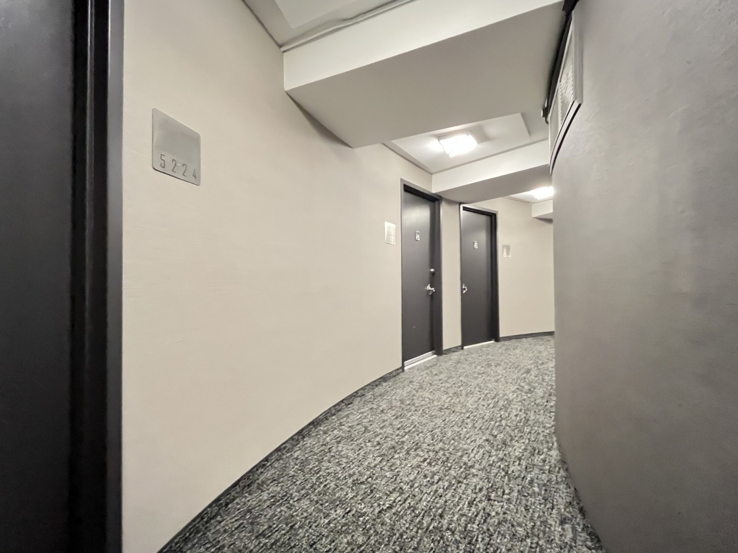 300 N State Street #5225, Chicago, IL 60654