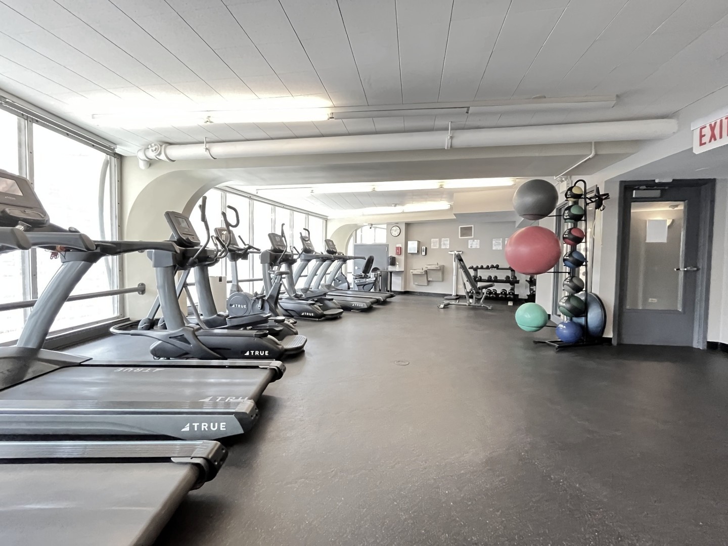 300 N State Street #5225, Chicago, IL 60654