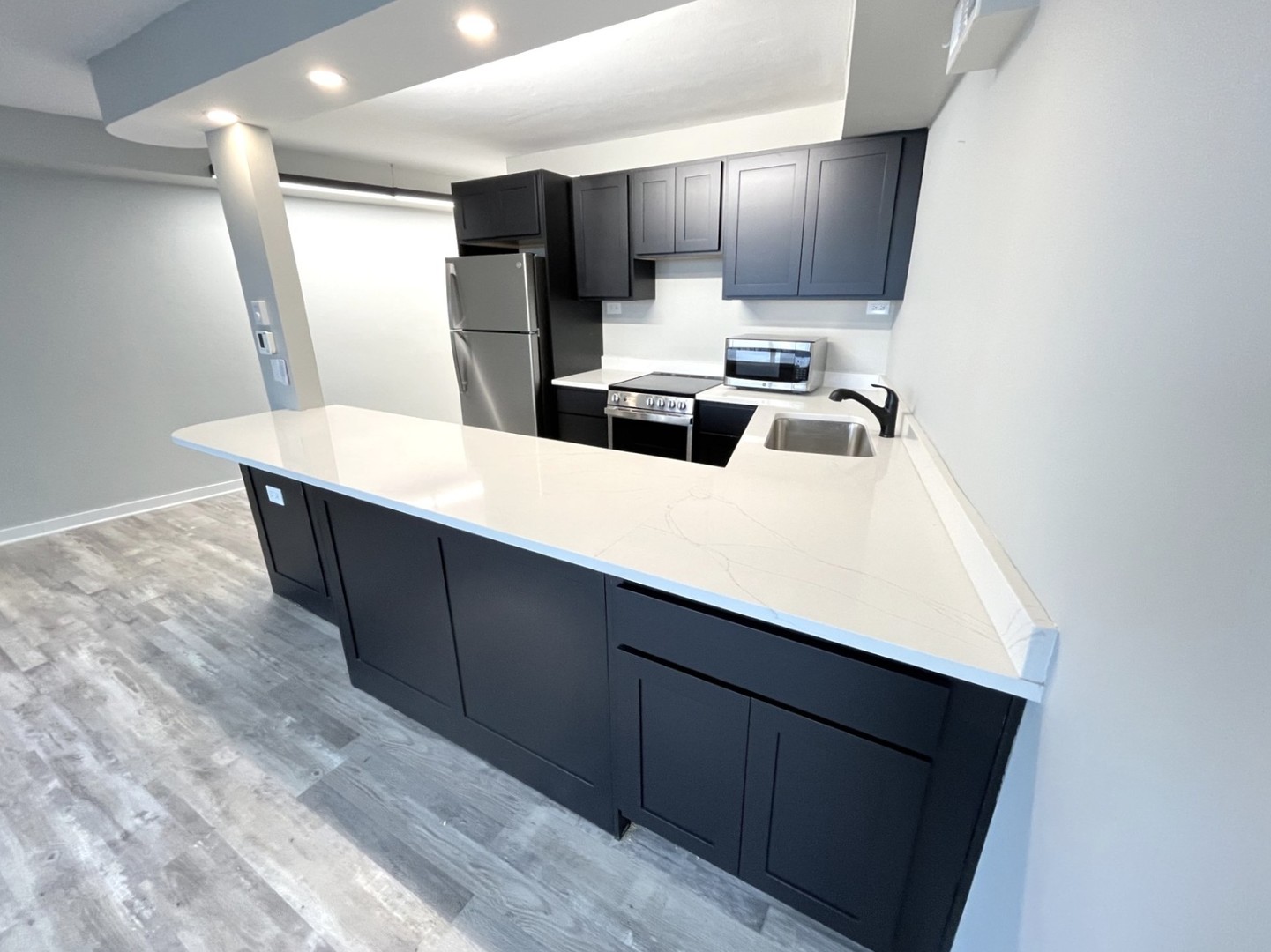 300 N State Street #5225, Chicago, IL 60654