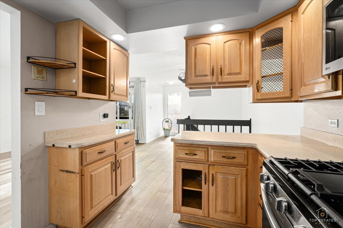 15713 ORLAN BROOK Drive #100, Orland Park, IL 60462