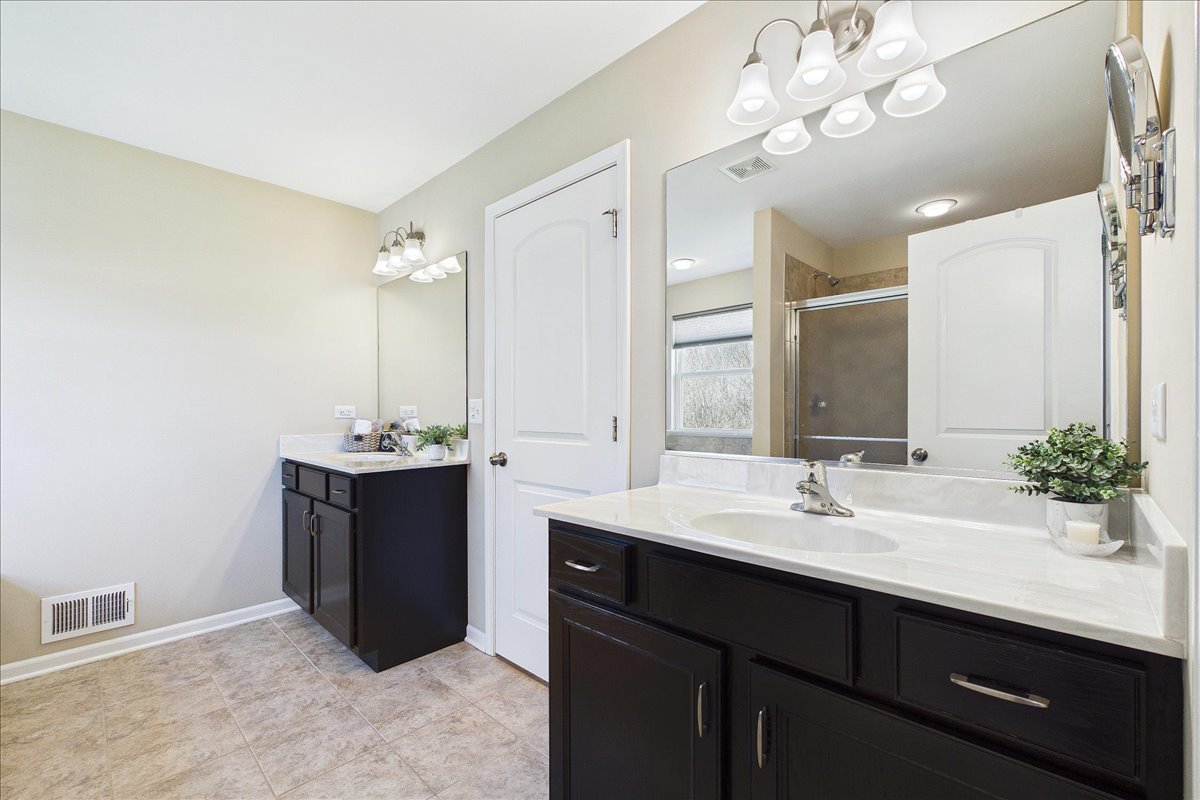 478 Blazing Star Drive, Lake Villa, IL 60046