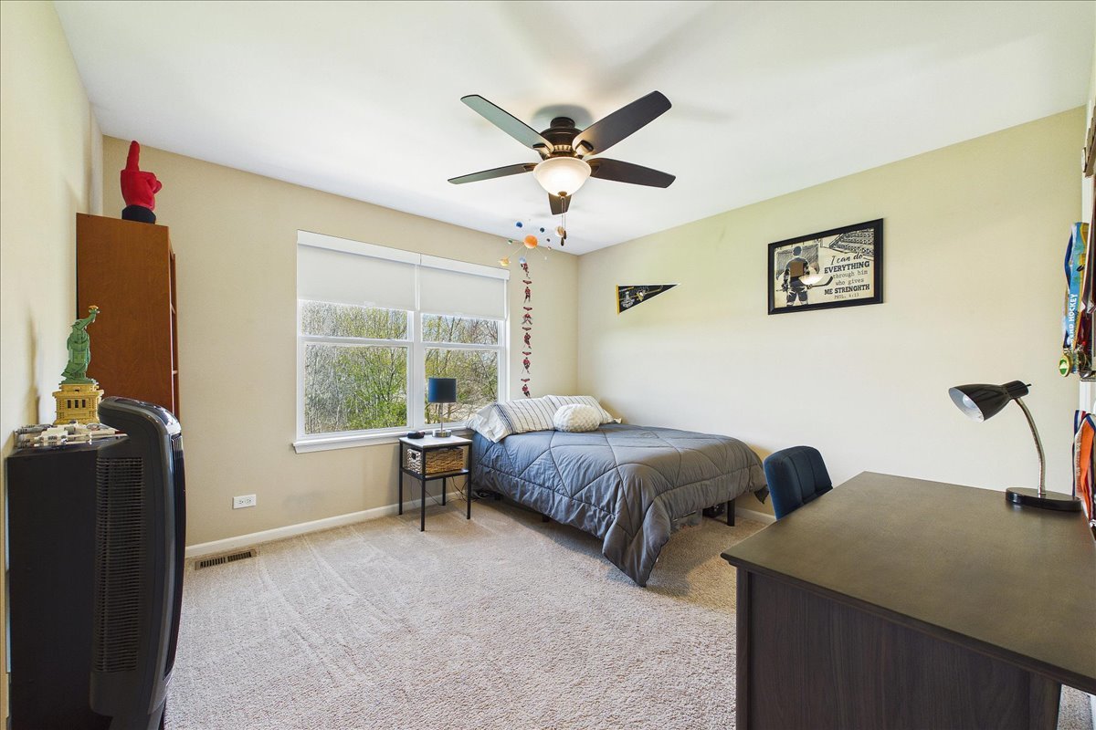 478 Blazing Star Drive, Lake Villa, IL 60046