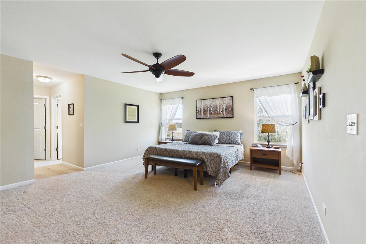 478 Blazing Star Drive, Lake Villa, IL 60046