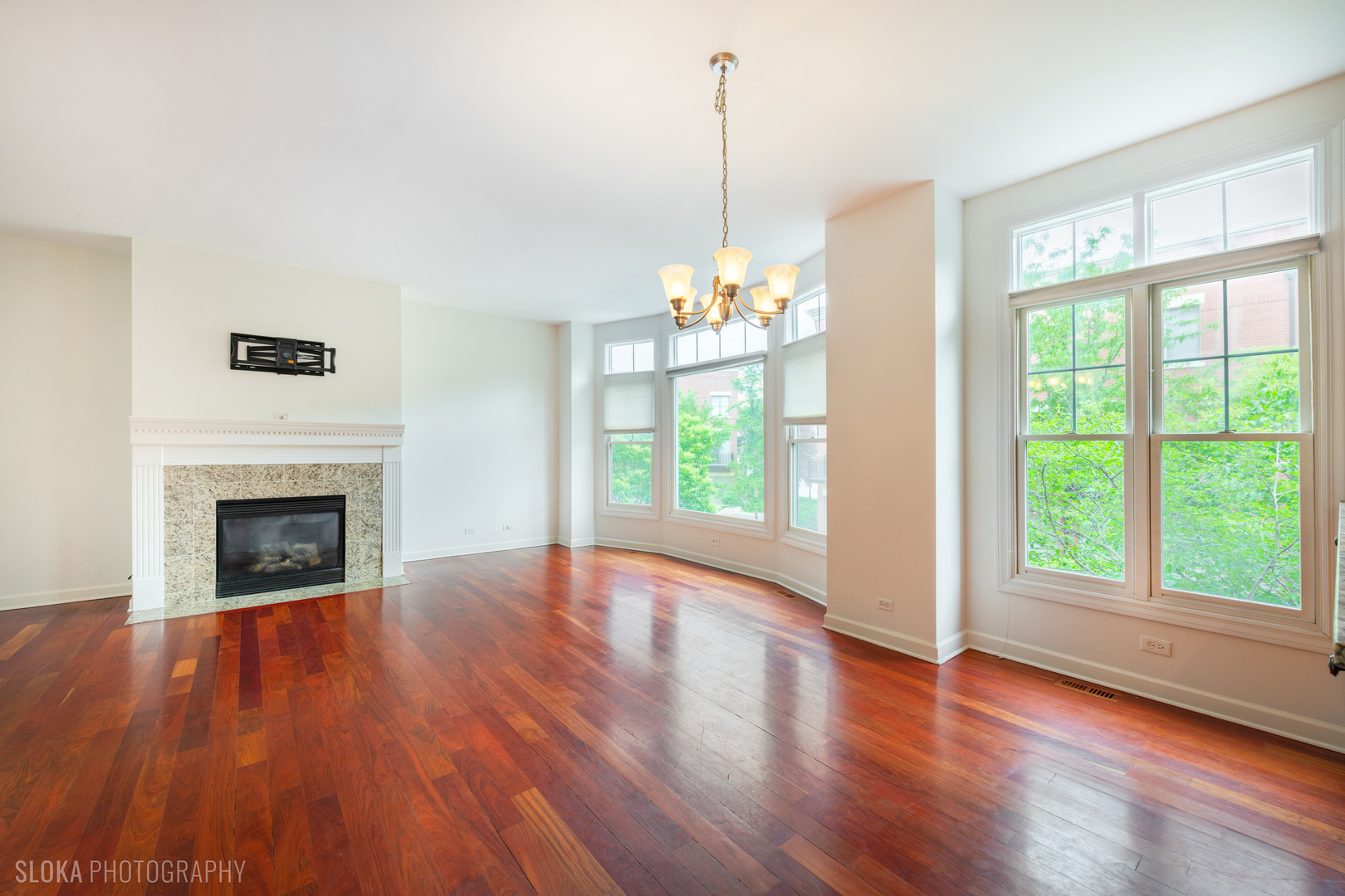 147 River Walk Court, Elgin, IL 60120