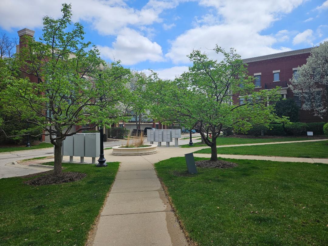 147 River Walk Court, Elgin, IL 60120
