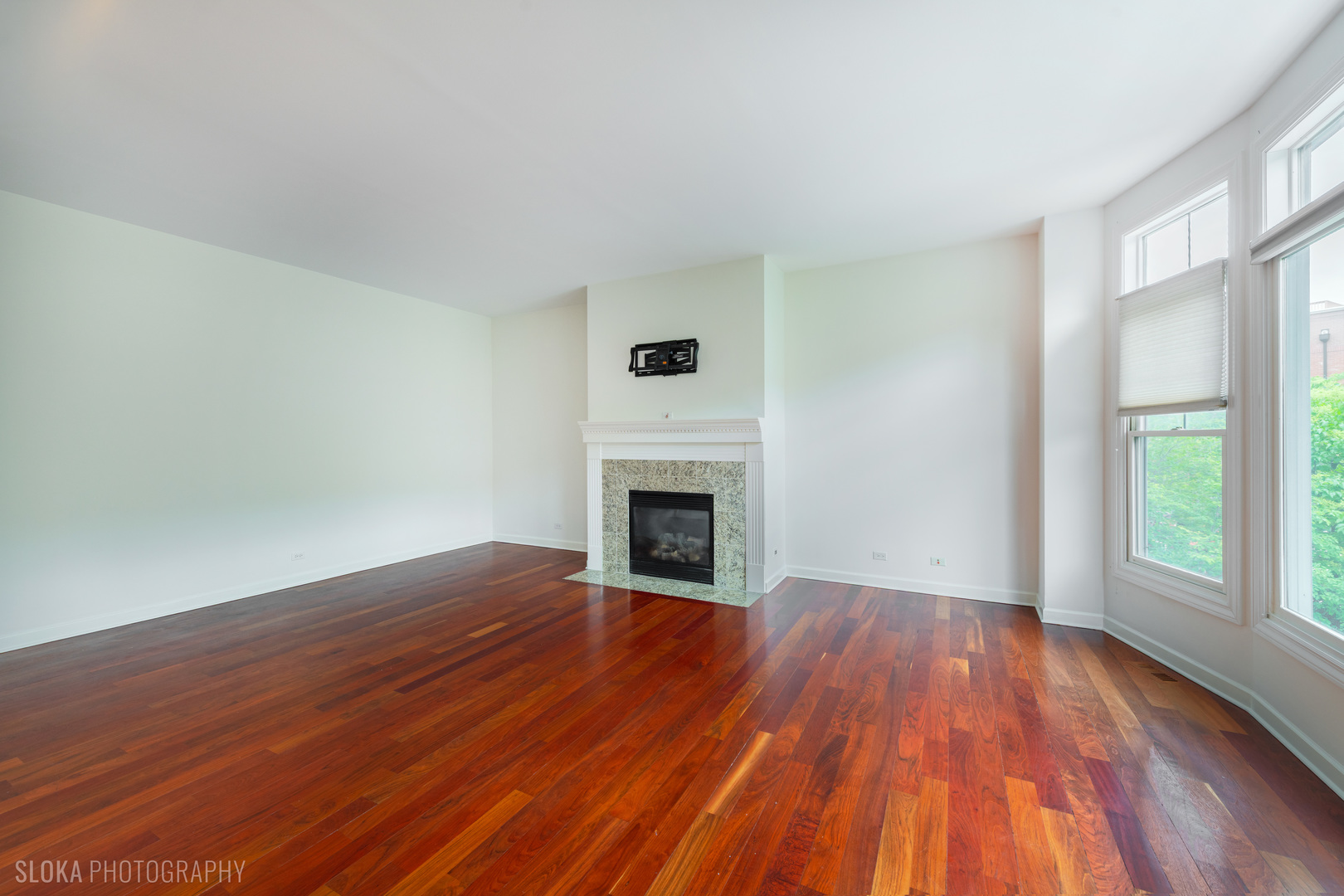 147 River Walk Court, Elgin, IL 60120