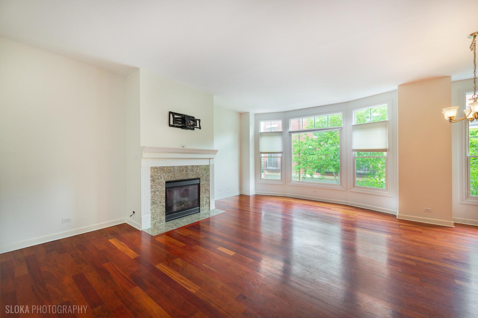 147 River Walk Court, Elgin, IL 60120