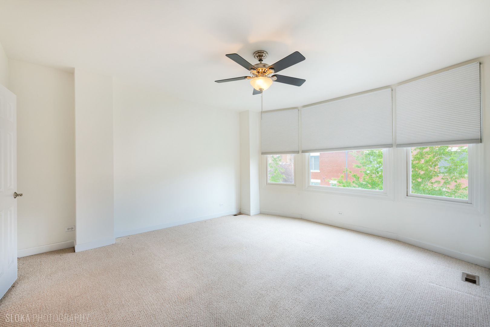 147 River Walk Court, Elgin, IL 60120