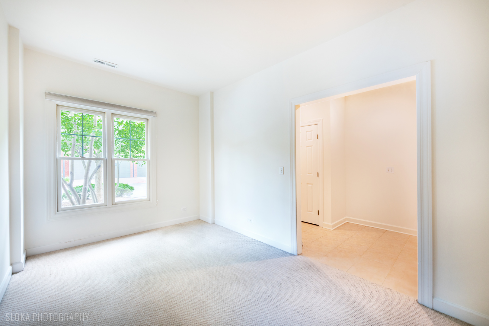 147 River Walk Court, Elgin, IL 60120