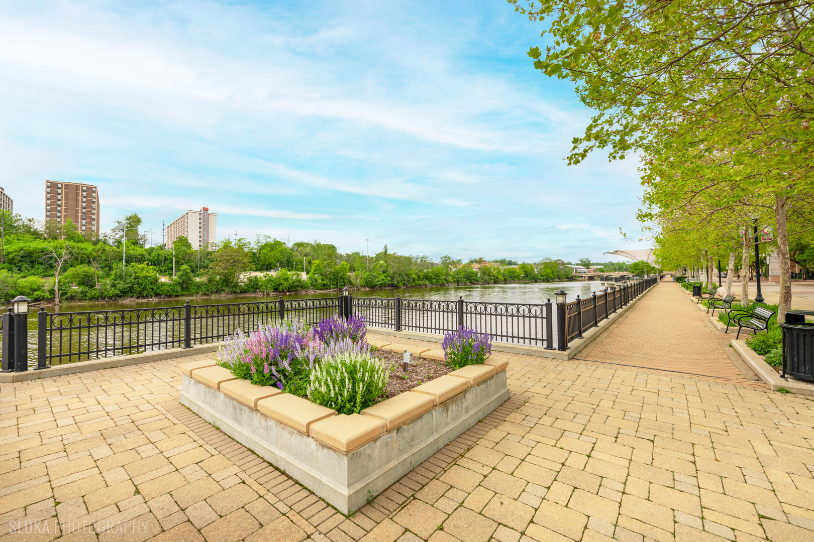 147 River Walk Court, Elgin, IL 60120